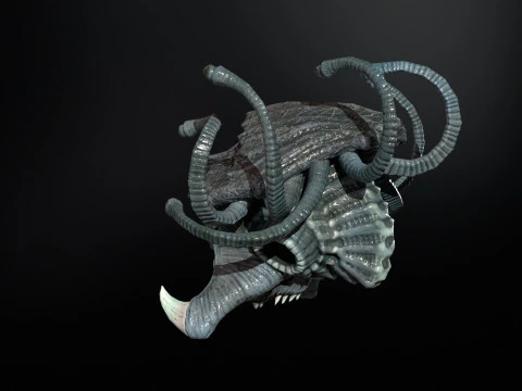 Espectador del mar Modelo 3D