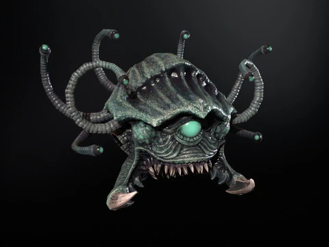 Espectador del mar Modelo 3D