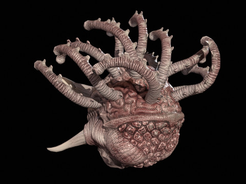 Beholder 3D Modell