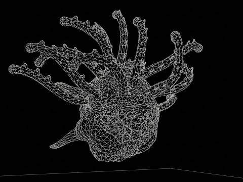 Spettatore Modello 3D