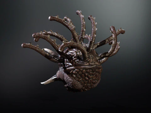 Spettatore Modello 3D