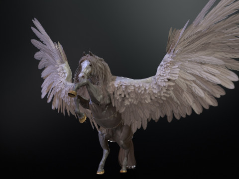 Pegas Model 3D