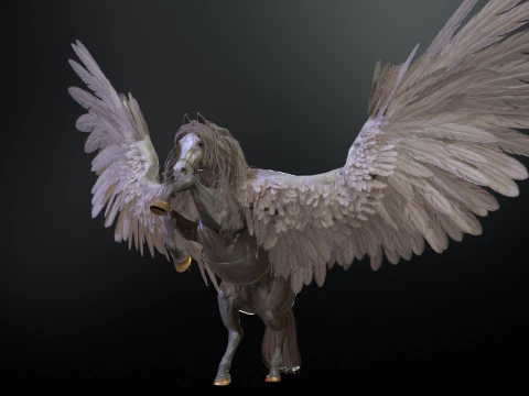 Pegalar 3D Model