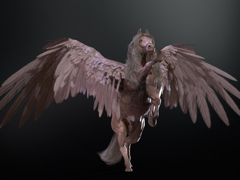 Pegas Modelo 3D