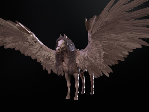 Pegas Modelo 3D