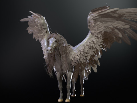 Pegas Modelo 3D