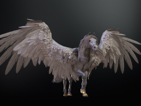 Pegas Modelo 3D
