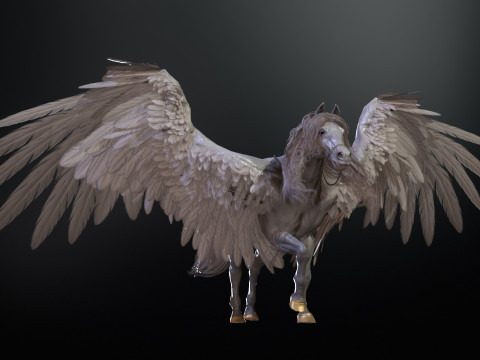 Pegas Modelo 3D