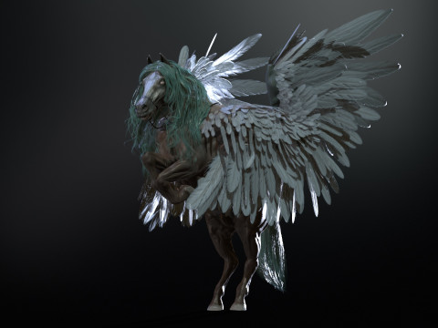 Pegas Modelo 3D