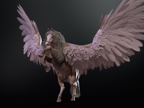 Pegas Modelo 3D