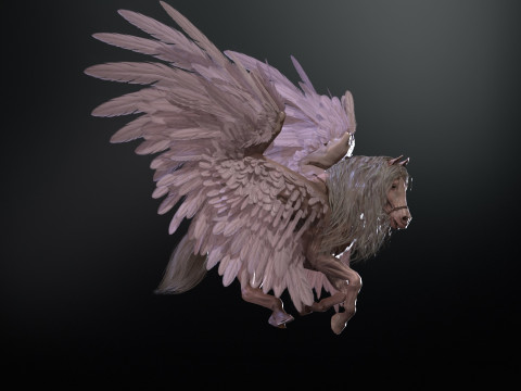 Pegas Modelo 3D