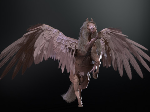 Pegas Modelo 3D