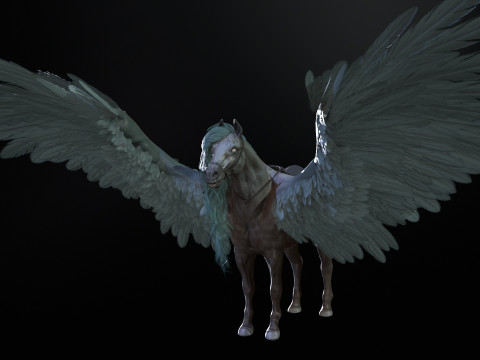 Pegas Modelo 3D