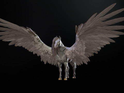 Pegas Modelo 3D