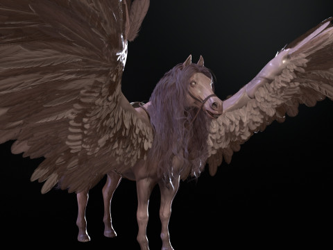 Pegas Modelo 3D