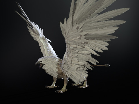 Griffon 3D Модель