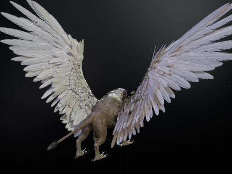 Griffon 3D Модель