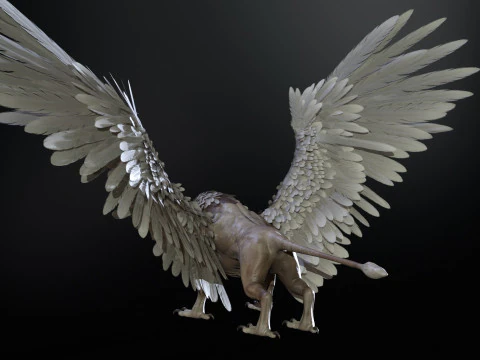 Gryfon Model 3D