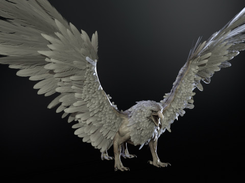 Griffon 3D Модель