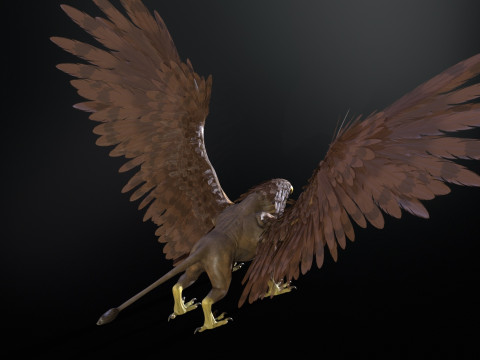 Griffon 3D Модель