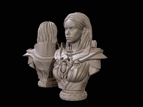 Fantasy Warrior Bust 2 High Poly for 3D Print 3D Print Model