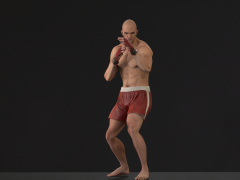 UFCMan 3D Model