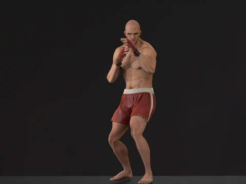 UFCMan 3D Model