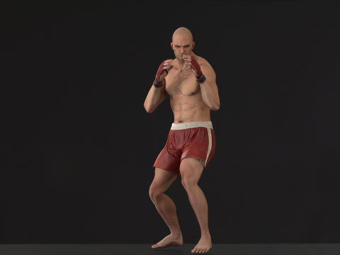 UFCMan 3D Model