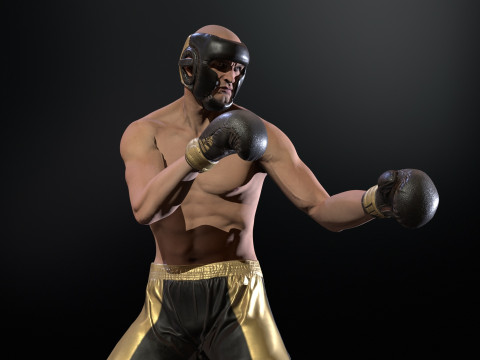 UFCMan 3D Model