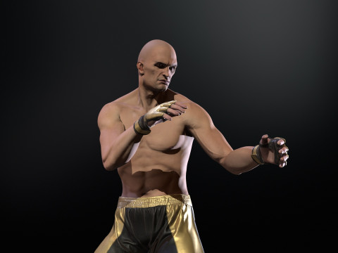 UFCMan 3D Model