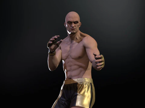 UFCMan 3D Model