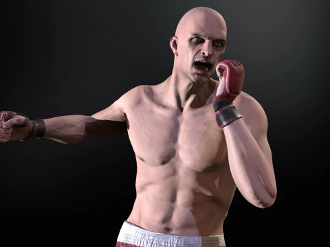 UFCMan 3D Model