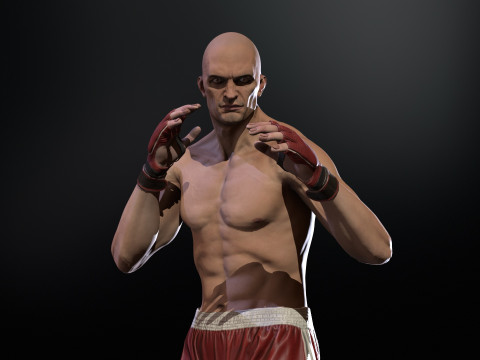 UFCMan 3D Model