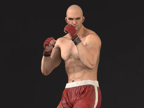 UFCMan 3D Model
