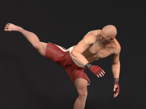 UFCMan 3D Model