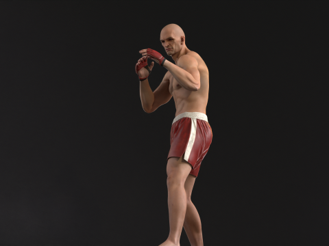 UFCMan 3D Model