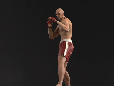 UFCMan 3D Model