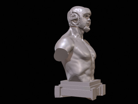 KickBoxer Bust for 3D Print 3Dプリントモデル