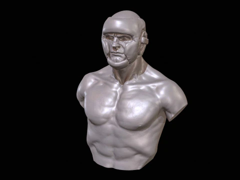 KickBoxer Bust for 3D Print 3D Print Model