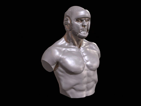 KickBoxer Bust for 3D Print 3D Print Model