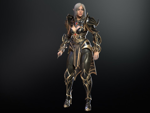 ElfGirlFighter 3D मॉडल
