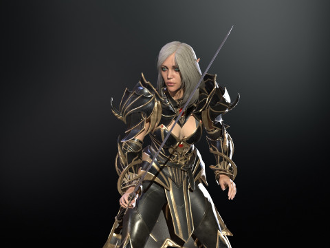 ElfGirlFighter 3D मॉडल