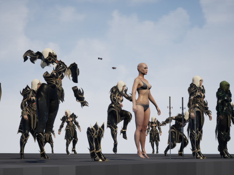 ElfGirlFighter 3D मॉडल