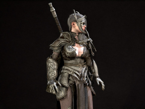 The Valkyrie 3D Model