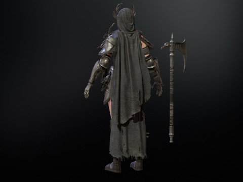 The Valkyrie 3D Model