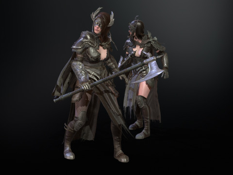 The Valkyrie 3D Model