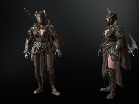 The Valkyrie 3D Model