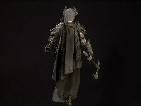The Valkyrie 3D Model