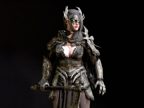The Valkyrie 3D Model