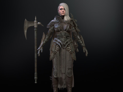 The Valkyrie 3D Model